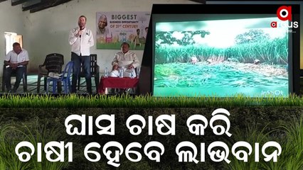 MCL Organizes Grass Farming Workshop For Farmers  In Nabarangpur