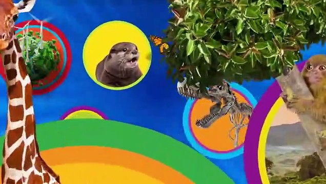 Nat Geo Kids Learn About Dolphins!