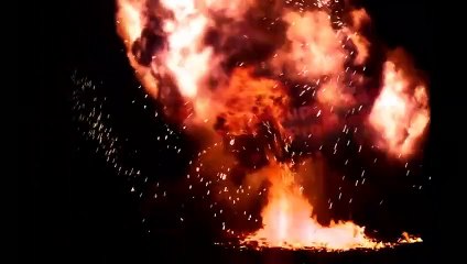 Top 10 Most Dangerous Prehistoric Birds