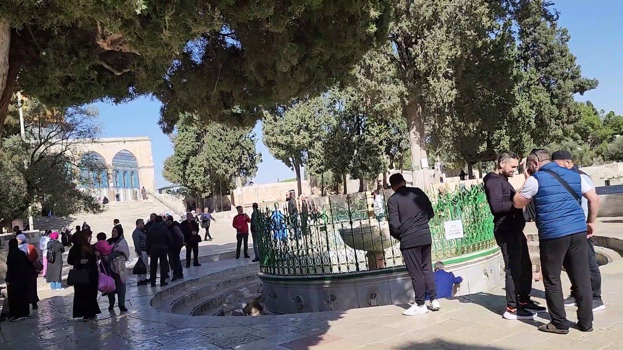 aqsa mosque 2023 Masjid Al aqsa__ Israel Jerusalem