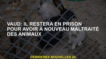 Vaud: Il restera en prison pour avoir à nouveau des animaux maltraités