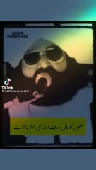 Peer Nasir Deen Shah sb