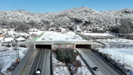 "300m 앞 결빙 위험"...도로 살얼음 '내비'가 알려준다 / YTN