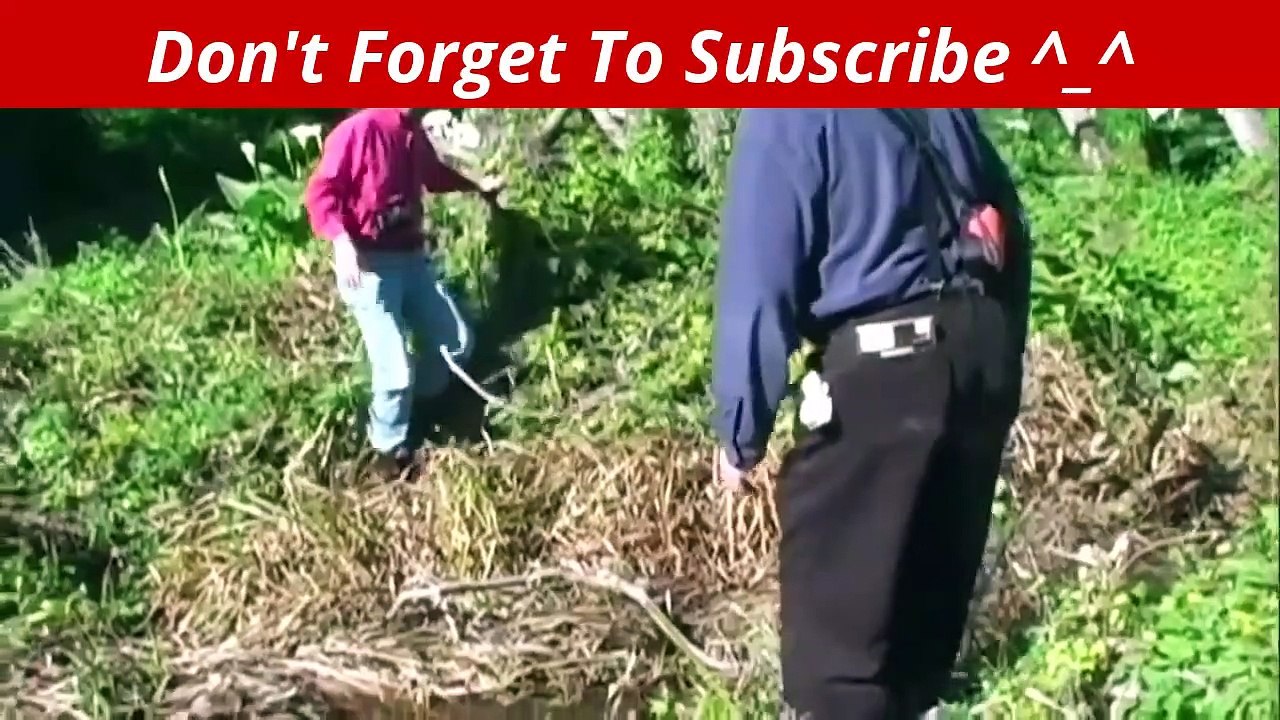 BEST Failarmy Ultimate Fails Compilation  NEW - HD - 2018