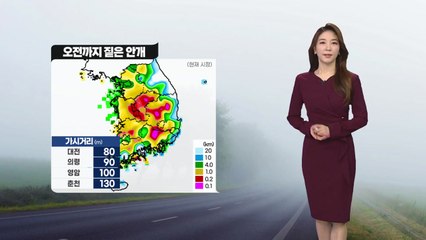 [날씨] 오전까지 짙은 안개, 서쪽 미세먼지...남부·영동 비 또는 눈 / YTN