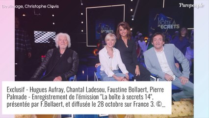 Faustine Bollaert se confie sur ce célèbre chanteur qui a refusé toutes ses invitations