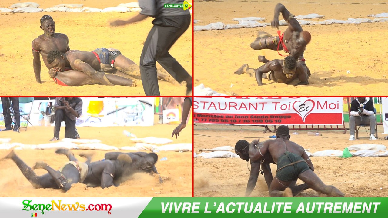Arène nationale : Suivez l'intégralité des combats