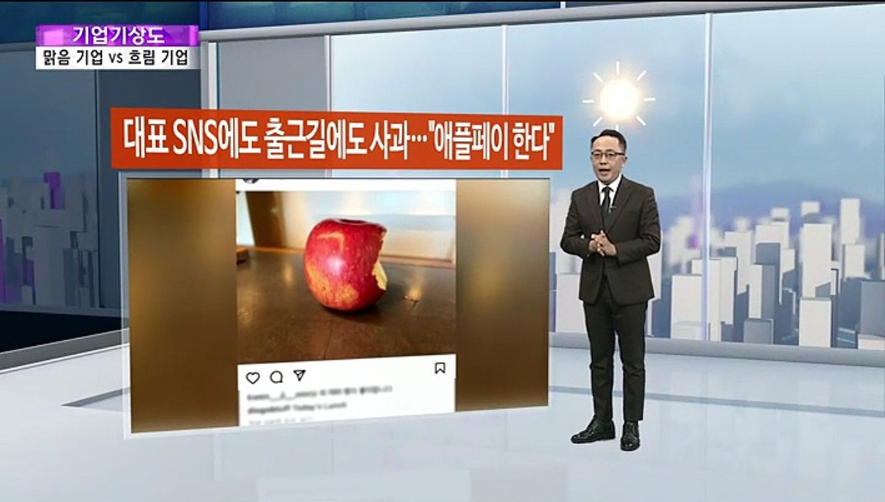 [기업기상도] 새 길 찾아 해 뜬 기업 vs 안팎 갈등에 비 온 기업