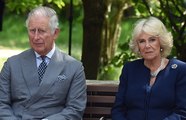 Sorry What?! Charles & Camilla's SON? Man Claims He's Their Secret Child