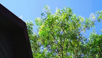 8 Days Limited - Se01 - Ep04 Watch HD