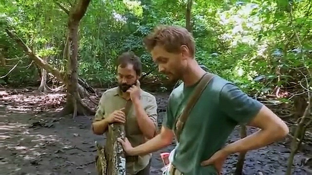 The Island with Bear Grylls - Se2 - Ep07 HD Watch