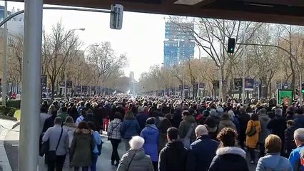 Manifestación en Madrid por la Sanidad pública