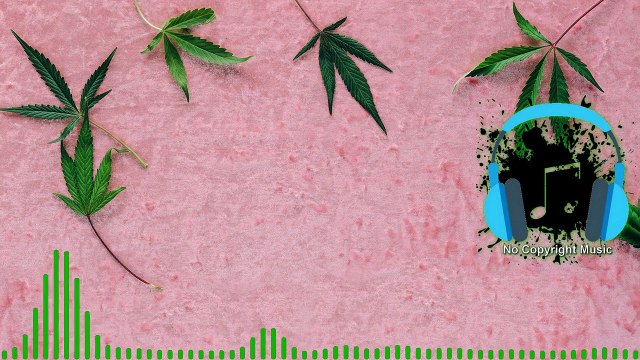 Dub Cowboy - MK2 _ Reggae Theme Song (No Copyright Music)