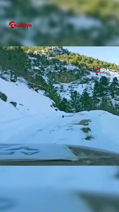 Köpek Yardım Konvoyuna Köye Kadar Rehberlik Etti #deprem #kahramanmaraş #yardım #shorts