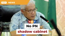 No PN shadow cabinet, heads of portfolios ‘monitors’, says Hamzah