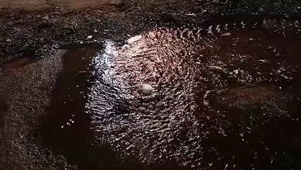 एक तरफ इंटर कनेक्शन तो दूसरी तरफ फूट रही पाइप