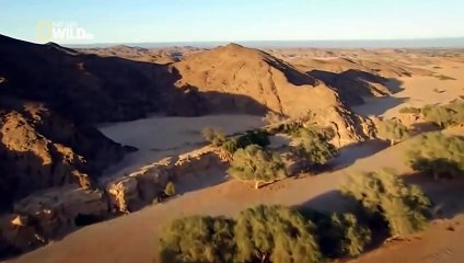 [National Geographic] Wild Namibia  Africa's Dry Savannah (Wildlife Documentary)