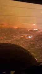 Escaping a Wildfire in Chile