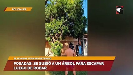 Posadas se subió a un árbol para escapar luego de robar