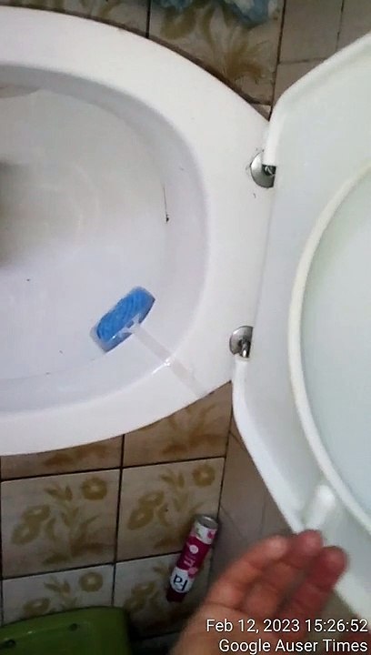 My mother was the one who had toilet seats pissed all over, stuffed toilet sink with mud, and have also dumped trash inside of my room on regular bases