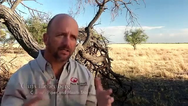 national geographic wild attack of the big cats documentary