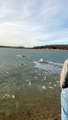 Man Saves Dog From Drowning in Frozen Lake