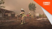 Kebakaran Hutan | 24 terkorban, lebih 5,000 penduduk Chile terjejas