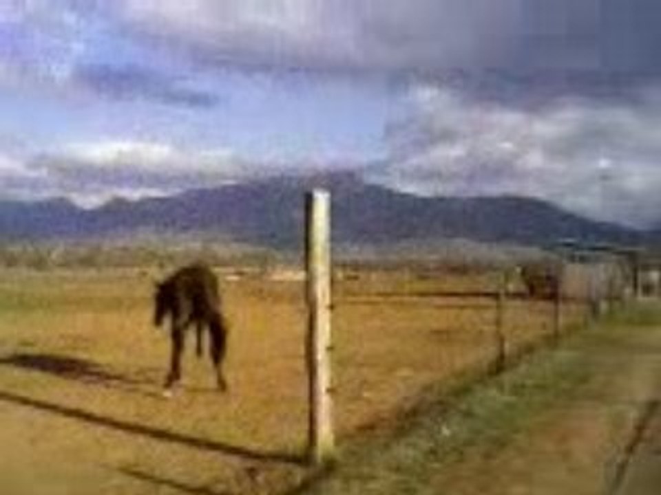 Vidéo-0032