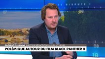 Geoffroy Lejeune sur Black Panther : «On est dans une culture de la haine»