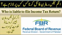Who will file Income Tax Return on iris fbr | Income tax rules 2002 | FBR Income tax returns