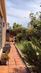 Dog Defends His House