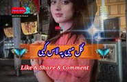 Gul mi pa lass k | Pashto poetry | pashto black screen status | hussan bacha.