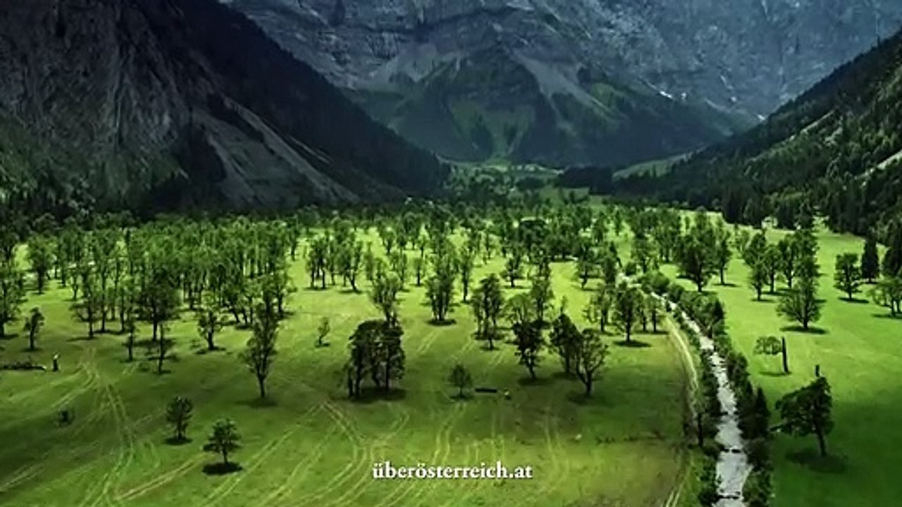 Eine erste Erkundung | show | 2016| S1 | Official Clip