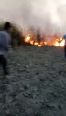 Ganna ke khet me aag laga