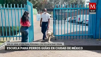 Escuela para perros guía en CdMx, en riesgo de cerrar