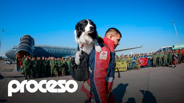 Cruz Roja Mexicana y el rescate desde la “zona cero” en Turquía