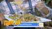 Tara na’t bisitahin ang ampalaya farm | Unang Hirit