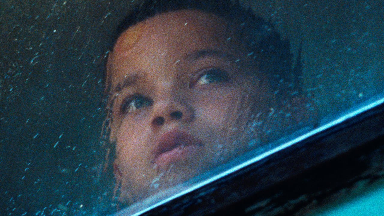 We The Animals (2018) | Official Trailer, Full Movie Stream Preview