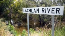 Widespread flooding brings birds back to central NSW