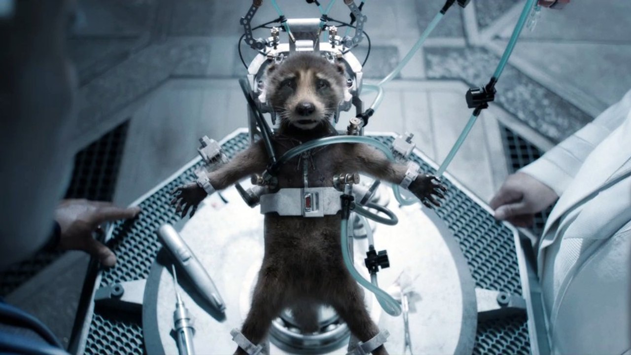 Guardians of the Galaxy Vol. 3 zeigt die Hintergrundgeschichte von Rocket