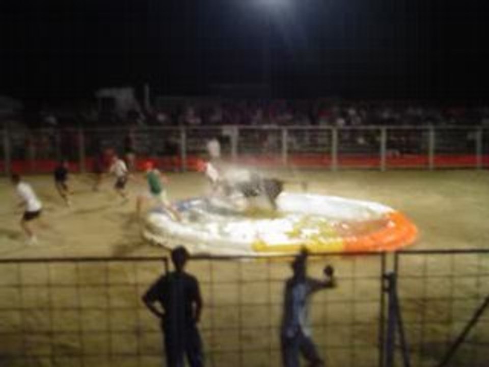 vachette2