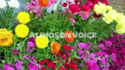 Neik Bakht Baap Aur Bad Bakht Aulad waqia||نیک بخت باپ اور بدبخت اولاد