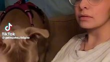 Try barking at your dog and get it reactions