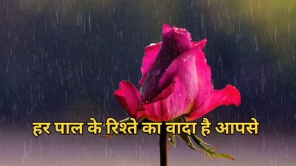 Valentine Day promise।। वेलेंटाइन डे प्रोमिस।। Motivational quotes