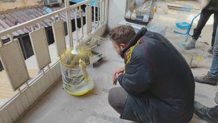 Kuşlar deprem esnasında petshopta mahsur kaldı! Gönüllü ekipler yardıma yetişti