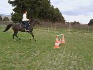 MA COUSINE MELINDA ET INCALA