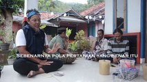 Rahasia pertanian Organik - Part 1 _ Mengembalikan tanah ke kodratnya.