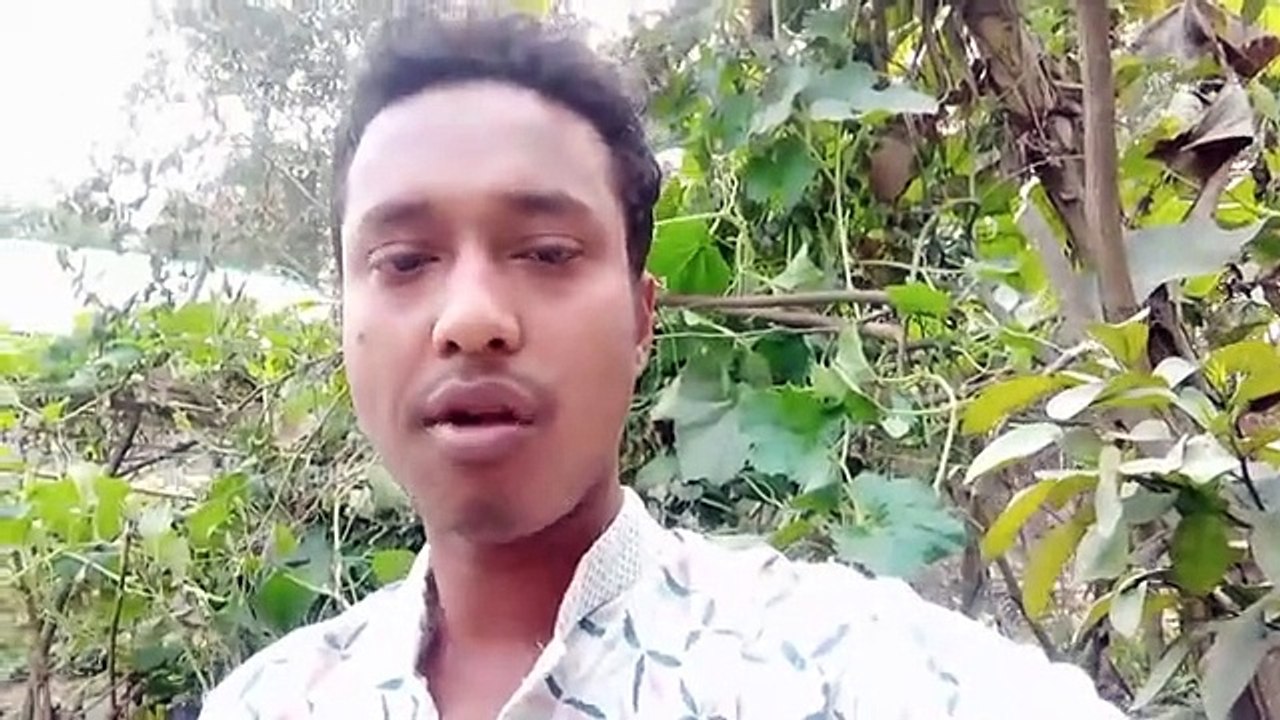 বরই গাছ কলম,করার আগে ‌ডাল কেটে দিতে হবে | Plum║Bangla vlog Md Kanan sarkar kamrul2023