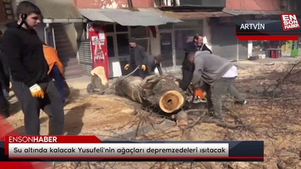 Su altında kalacak Yusufeli'nin ağaçları depremzedeleri ısıtacak