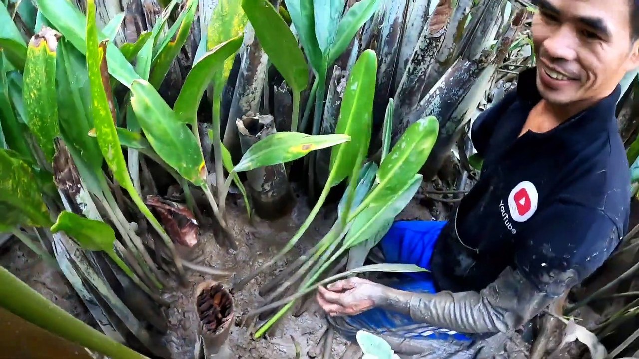 đi đào teng heng vô tình gặp phải con cua ngủ mê